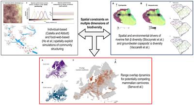 Editorial: Spatial constraints on multiple dimensions of biodiversity